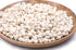 small white conch shells 1 kg